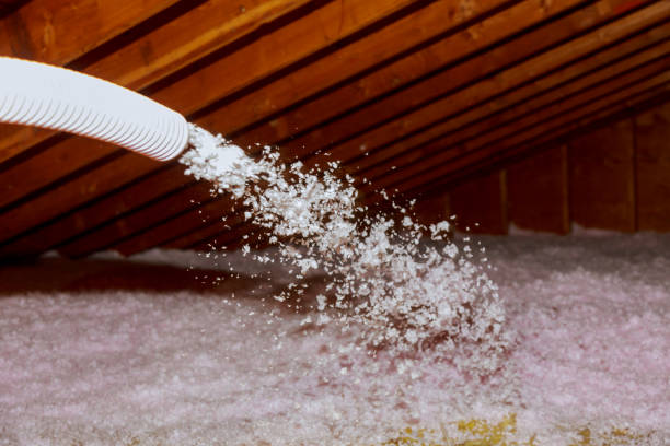 Best Commercial Insulation in Texkana, AR