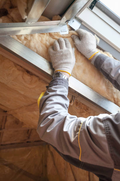 Professional Insulation Contractor in AR