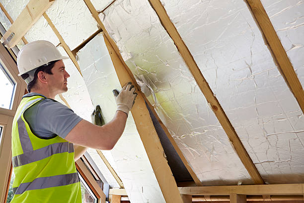Best Insulation Maintenance and Repair in Texkana, AR